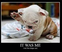 Top 25 funniest cat and dog quotes | Just Laughs Fun and Humor via Relatably.com