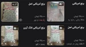 برنج آمریکایی