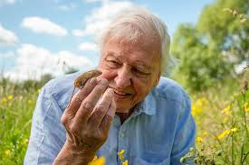 David Attenborough Announces Three New BBC Shows