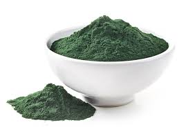 Hasil gambar untuk spirulina