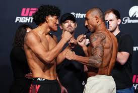 MMA Fighting