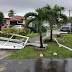 Tornado por tormenta Philippe levanta árboles en Miami sin ...