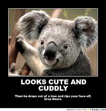 Koala Quotes. QuotesGram via Relatably.com