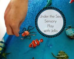 Image of Sensory Play Adventure