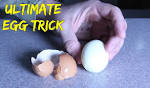 The Easiest Way to Peel Hard-Boiled Eggs POPSUGAR Food