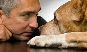 Cesar Millan and Daddy, the Pit Bull who accompanied him throughout his career. - cesar-millan-y-daddy