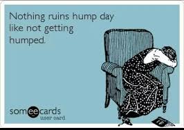 Image result for hump day