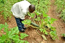 Image result for burundi
