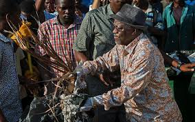 Image result for tanzania president sweeps the street images