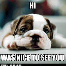 Image result for hi meme