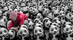 Image result for pictures gallery for amazing places of the world