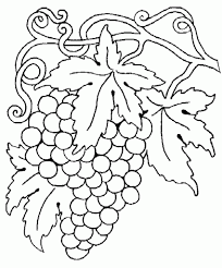 Resultat d'imatges de DIBUJOS LA VENDIMIA