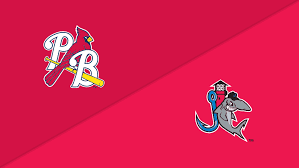 Gameday: Cardinals 14, Hammerheads 1 Final Score (06/16/2026)