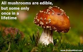 Mushroom quotes | PC Mushrooms via Relatably.com