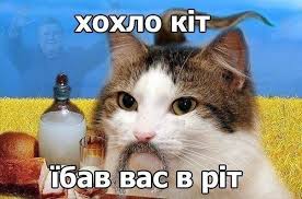 images?q=tbn:ANd9GcSCNLIVgCQn7AtbNOI_VEN