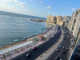 الفلاح اليوم - News update
