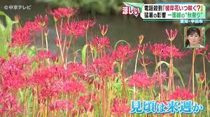 Yahoo!ニュース - News update