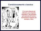 Skinner e il condizionamento operante -