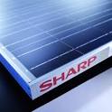 Solar - Sharp