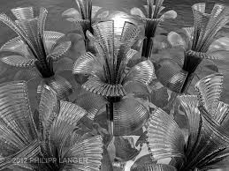 Kristallblumen / Crystal Flowers | Digitale Kunst