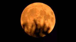 Lua do Veado ilumina MS com chuvas de meteoros nesta quarta