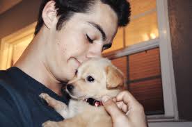 R&eacute;sultat de recherche d'images pour "dylan o'brien"