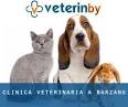 Veterinario a Barzan: numeri di telefono ed indirizzi Veterinari a