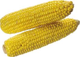 Image result for corn