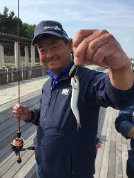 「イワシング」の画像検索結果