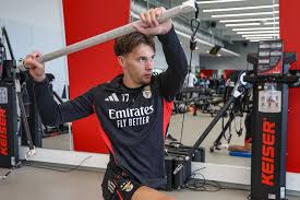 O que é o recurso hierárquico impróprio que o Benfica interpôs por Dedic