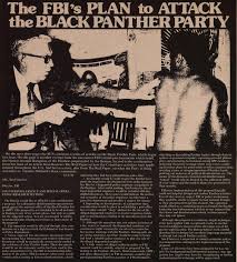 Image result for the black panther party