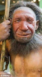 Most Neanderthals were right handed, just like modern humans, and this tendency suggests that they may have had the capacity for speech, new research ... - article-2192994-0BC017E6000005DC-395_233x423