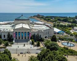 Image of Shedd Aquarium