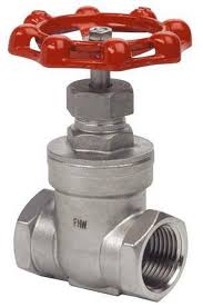 FNW® Figure 15B-200 1-1/4 in. Stainless Steel NPT Gate Valve ...