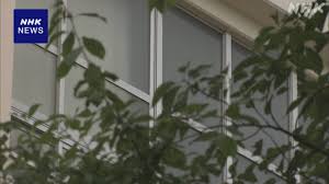 NHK - News update