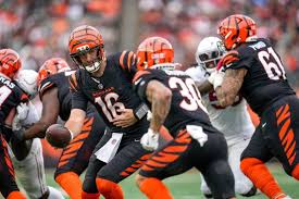 Cincinnati Bengals 2025 Season Review: A Disappointing Year