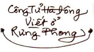 Image result for hoàng hải thủy