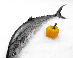 Gambar Tenggiri fish