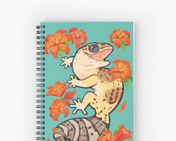 gecko notebookの画像