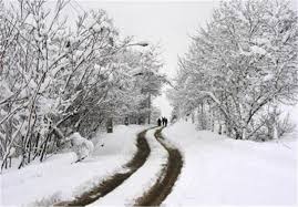ببینید / بارش برف در شهرستان راور کرمان