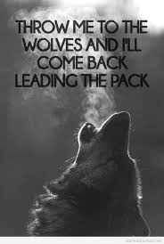 Pack Of Wolves Quotes. QuotesGram via Relatably.com