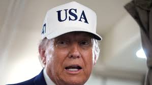 Donald Trump warns of action as Los Angeles protests enter Day 2. What triggered the agitation?