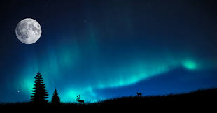 Resultado de imagem para aurora boreal