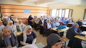 الوطن - News update