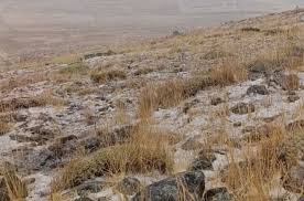 بارش برف در روستای میاب مرند