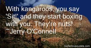 Kangaroos Quotes: best 10 quotes about Kangaroos via Relatably.com