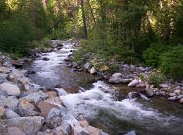 Image result for pics of gold in a mountain stream