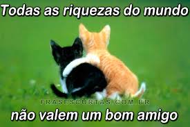 Resultado de imagem para frases bonitas de amizade para amiga