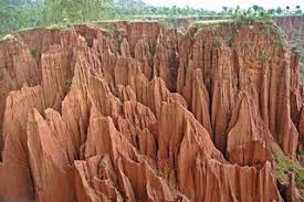 Image result for killing in konso ethiopia