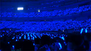 Hasil gambar untuk wallpaper elf indonesia